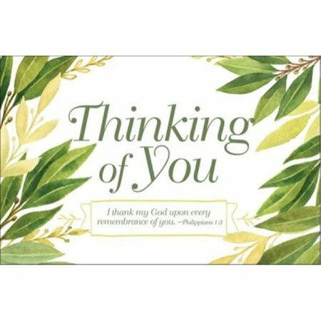 COOLCOLLECTIBLES Thinking of You Postcard  1 Timothy 13 KJV 25PK CO3314196